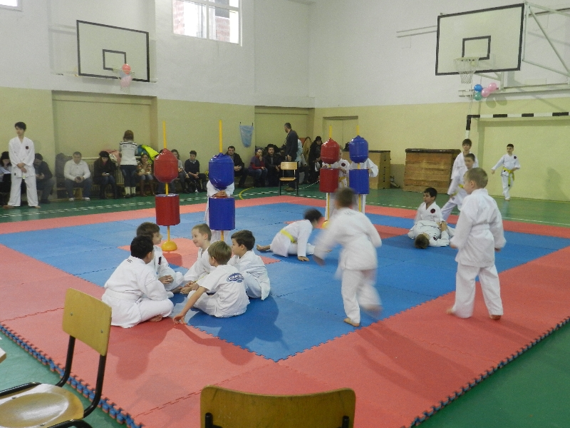 Campionatul National de Karate Goju Ryu 2013