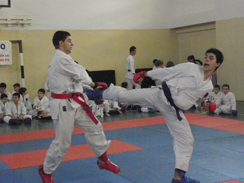 Campionatele nationale de karate interstiluri 2012